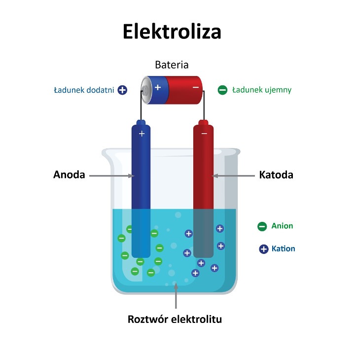 Anion, jako ujemnie naładowana cząstka, migruje w trakcie elektrolizy w kierunku przeciwnie naładowanej elektrody dodatniej (anody). (infografika/Shutterstock)
