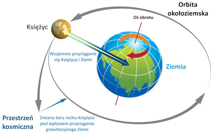 Siła grawitacji jest odpowiedzialna za krążenie Księżyca po orbicie okołoziemskiej. (infografika/Shutterstock)