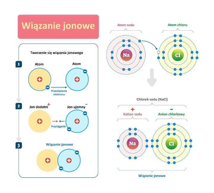 Wiązanie jonowe w cząsteczce chlorku sodu (NaCl). (infografika/Shutterstock)