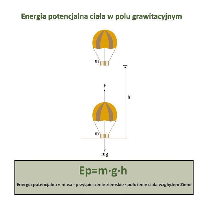 Energia potencjalna ciała w jednorodnym polu grawitacyjnym. (Źródło: shutterstock)