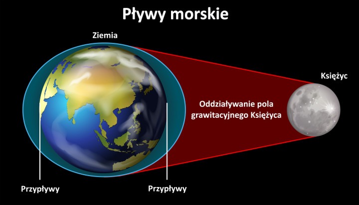 Pływy morskie na Ziemi wywołane są oddziaływaniem pola grawitacyjnego Księżyca. Źródło: Shutterstock