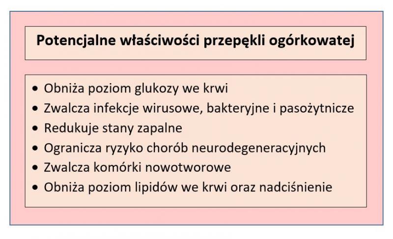 Tabela przedstawiająca właściwości zdrowotne przepękli ogórkowatej; opracowanie własne