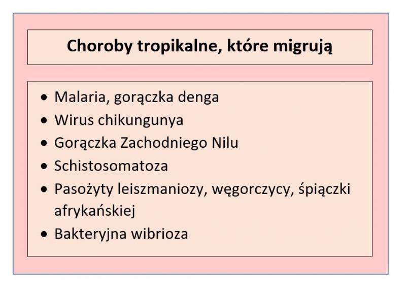 Tabela przedstawiająca choroby tropikalne pojawiające się coraz częściej w Europie; opracowanie własne Tabela przedstawiająca choroby tropikalne pojawiające się coraz częściej w Europie; opracowanie własne