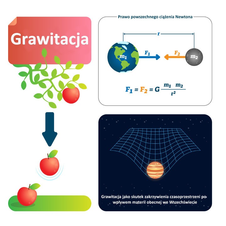 Zjawisko grawitacji (ciążenia powszechnego). Źródło: Shutterstock