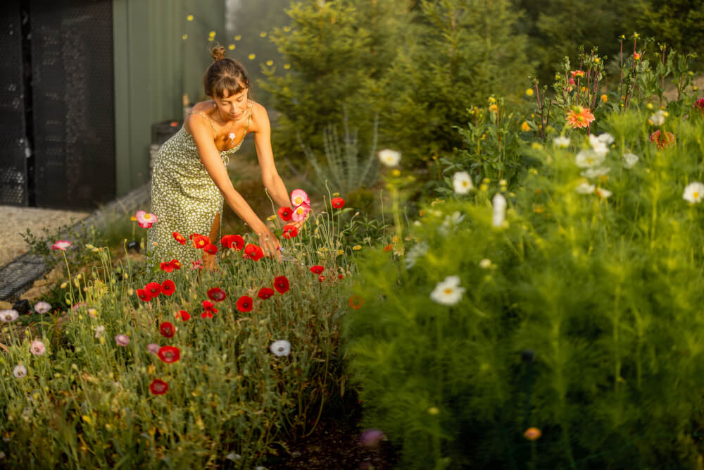 Przykładem biocenozy utworzonej sztucznie jest ogród