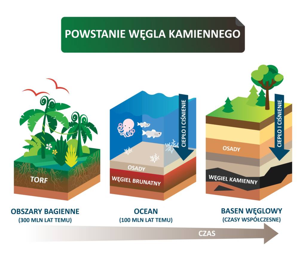 Węgiel kamienny » Opis » co to? » Definicja pojęcia