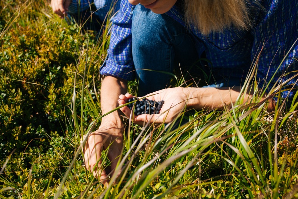 Fot.Oksana Shufrych/Shutterstock