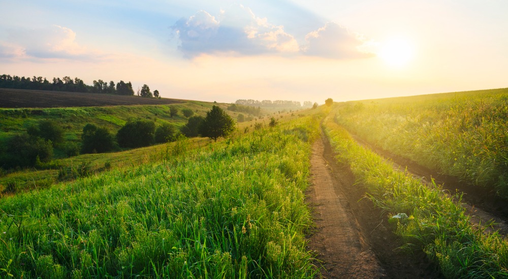 Fot. Valeriy Boyarskiy/Shutterstock