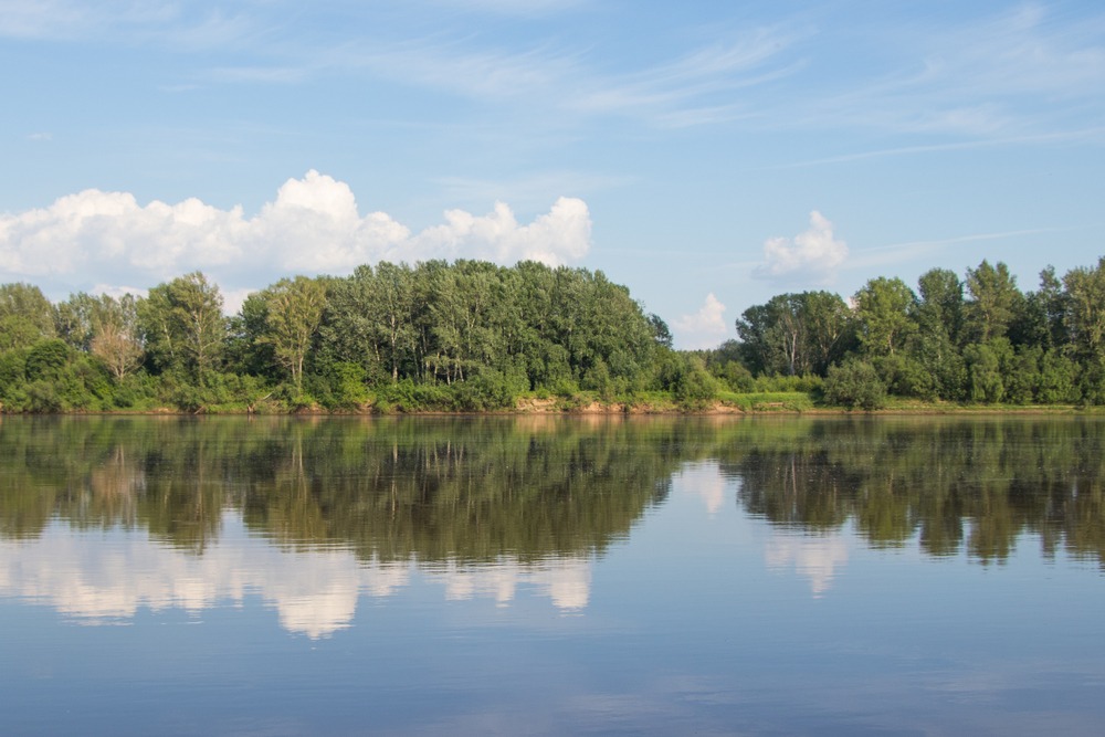 Fot. Irina Kononova/Shutterstock