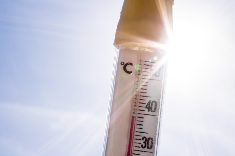 Fot. Dreamprint/Shutterstock