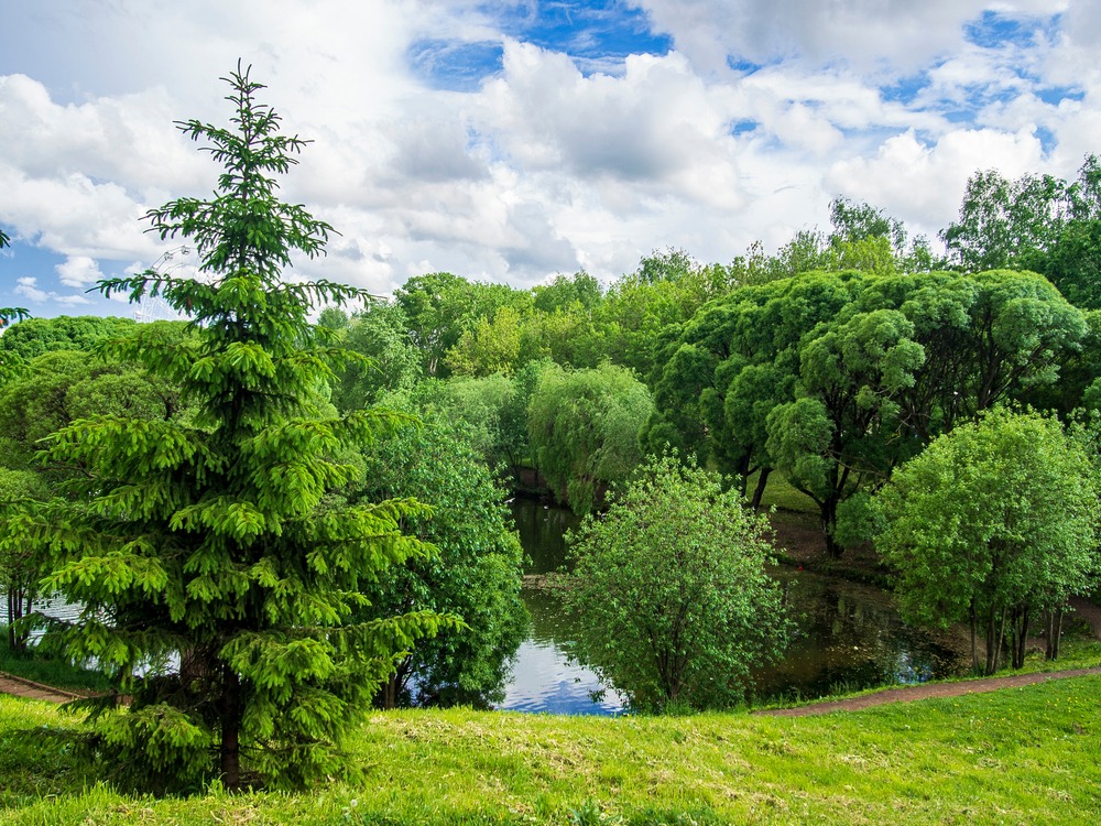 Fot. ValentinaRupasova/Shutterstock