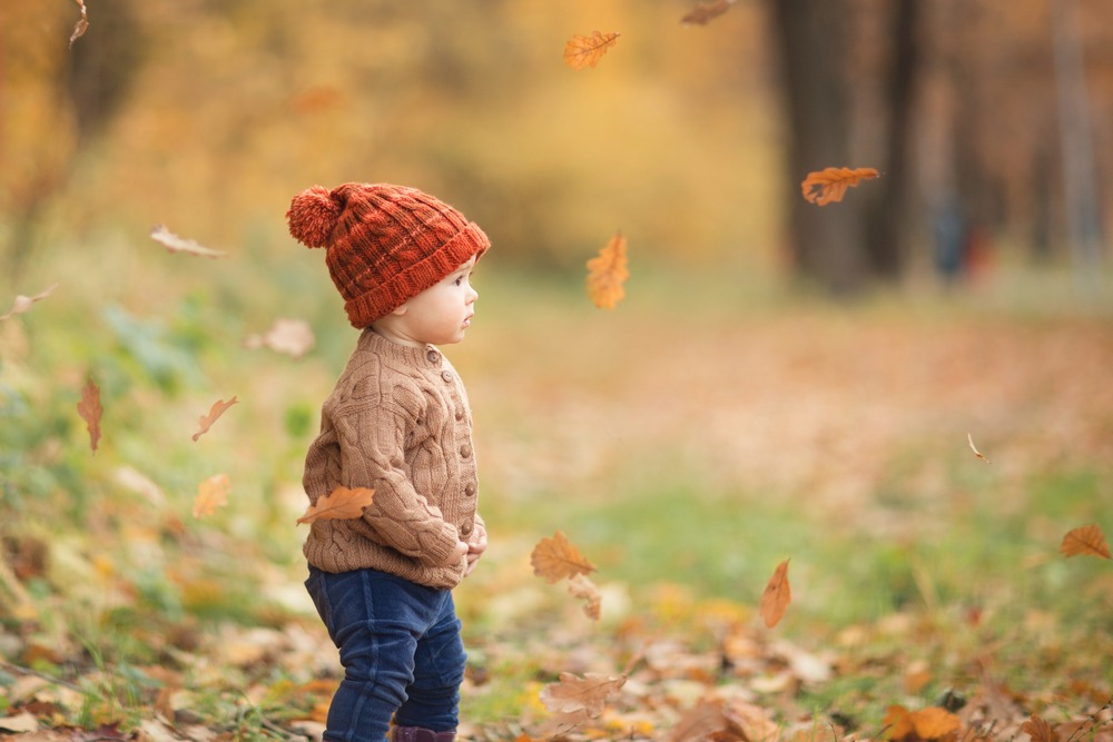 Fot. phBodrova/Shutterstock