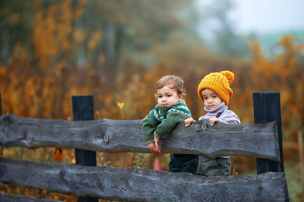 Fot. Gala Sher/Shutterstock