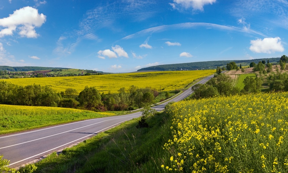 Fot. Yuriy Brykaylo/Shutterstock