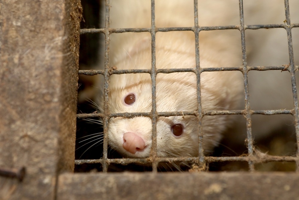 Fot. Cergios/Shutterstock