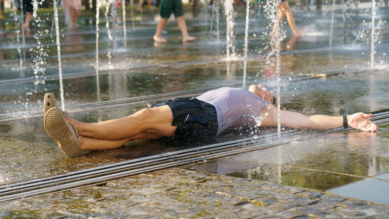 Fot. YuryKara/Shutterstock