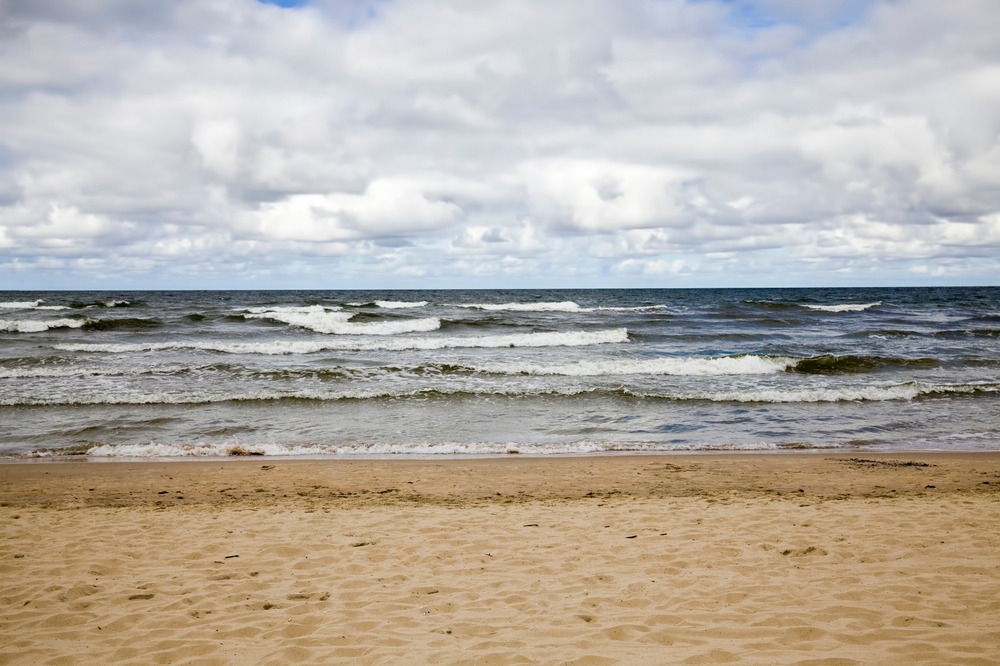 Fot. rsooll/Shutterstock