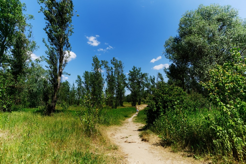 Fot. Margy Crane/Shutterstock