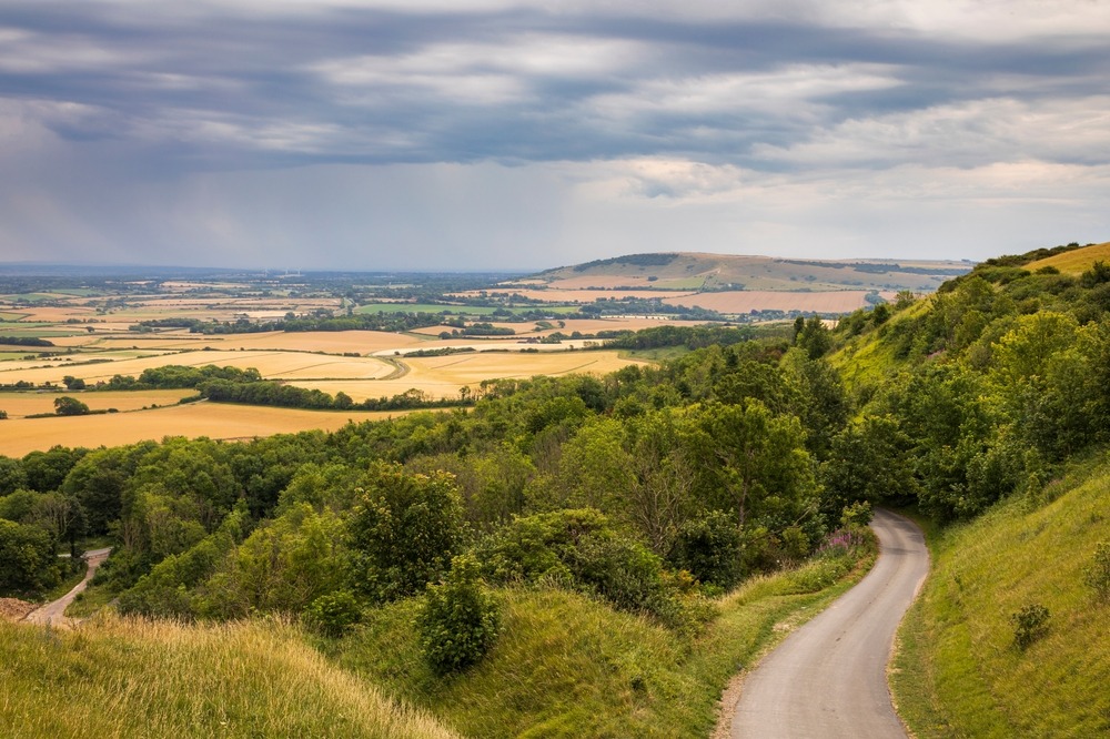Fot. SuxxesPhoto/Shutterstock