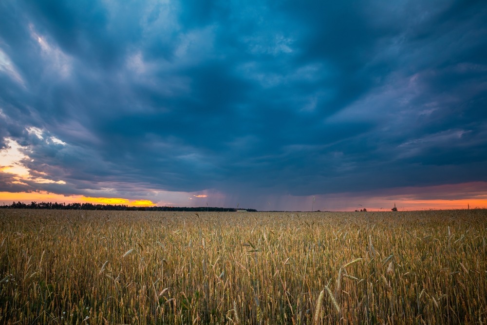 Fot. Grisha Bruev/Shutterstock