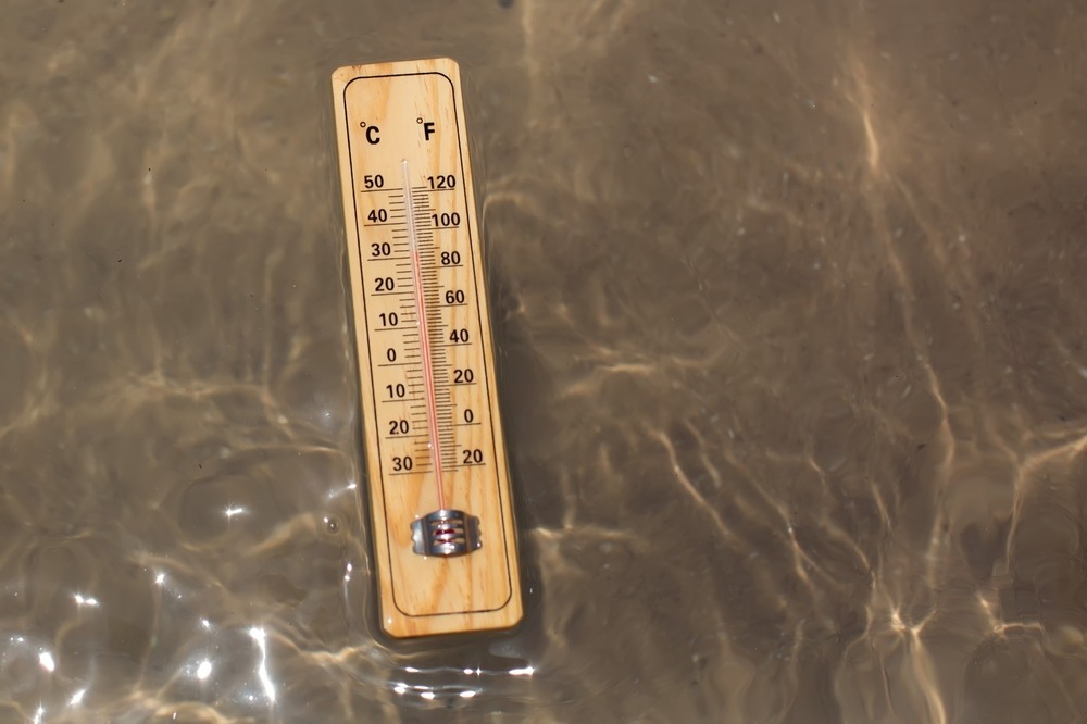 Fot. aleks333/Shutterstock