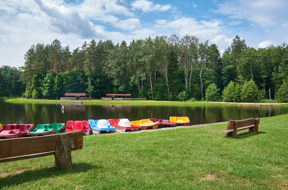 Fot. Fanfo/Shutterstock