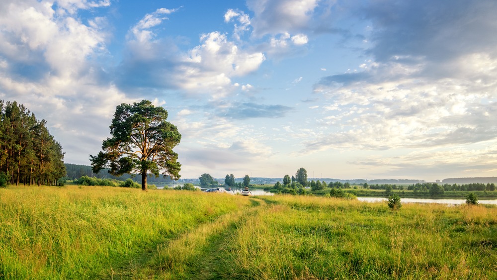 Fot. 7ynp100/Shutterstock