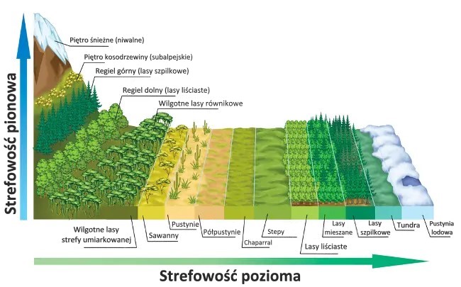 Struktura lądowego środowiska przyrodniczego