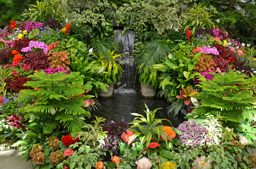 Ideał tropikalnego ogrodu, fot. perlphoto/Shutterstock