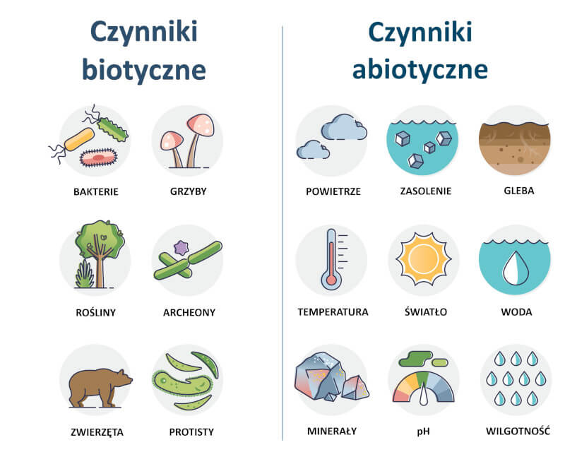 Czynniki selekcyjne środowiska