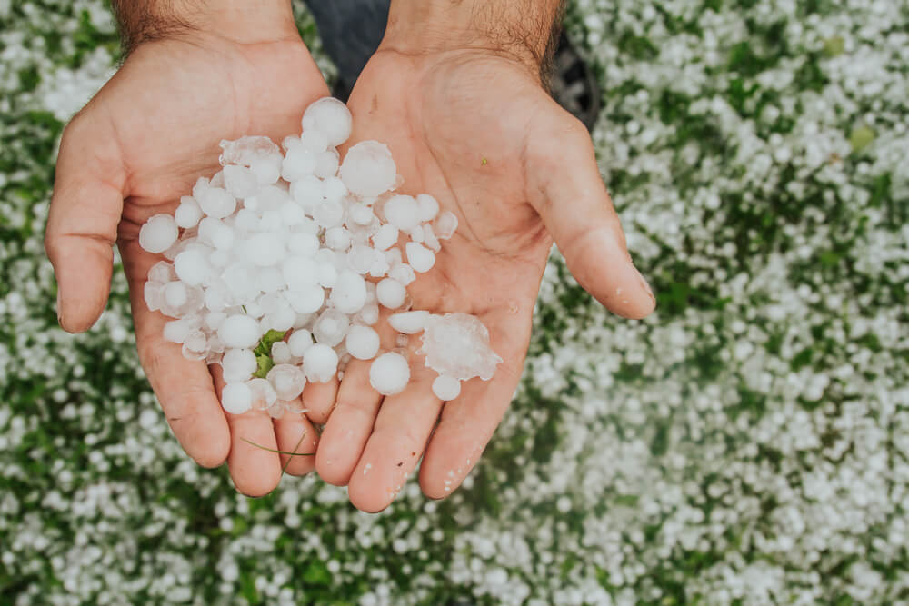 Grad pojawia się zwykle z silnymi, letnimi burzami, fot. Marinka Buronka/Shutterstock