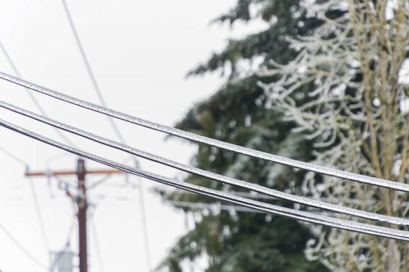 Gololedź w przyrodzie