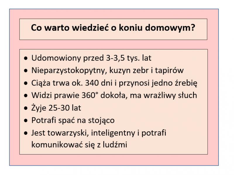 Koń polski - co o nim wiemy
