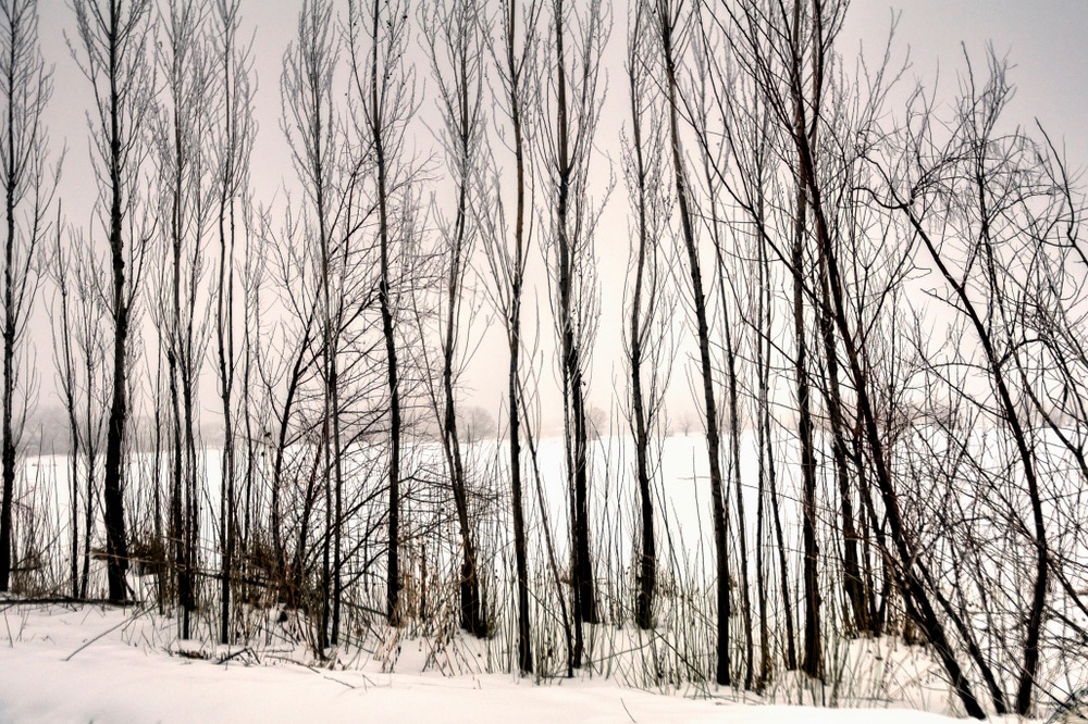 Fot. Jerry Sodorff Photography/Shutterstock