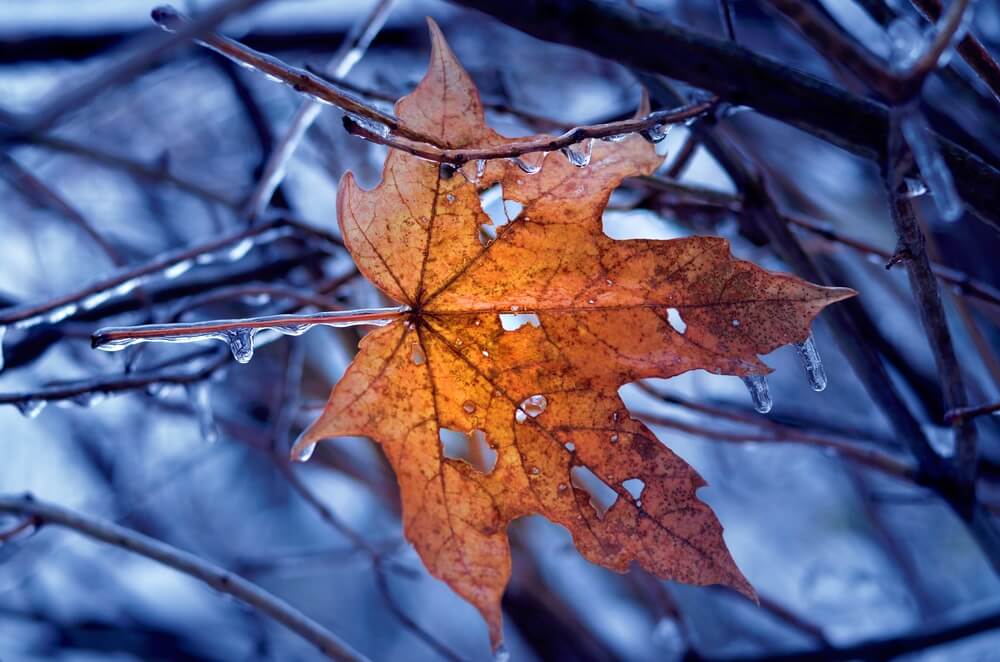 Pogoda na środę, 29 listopada