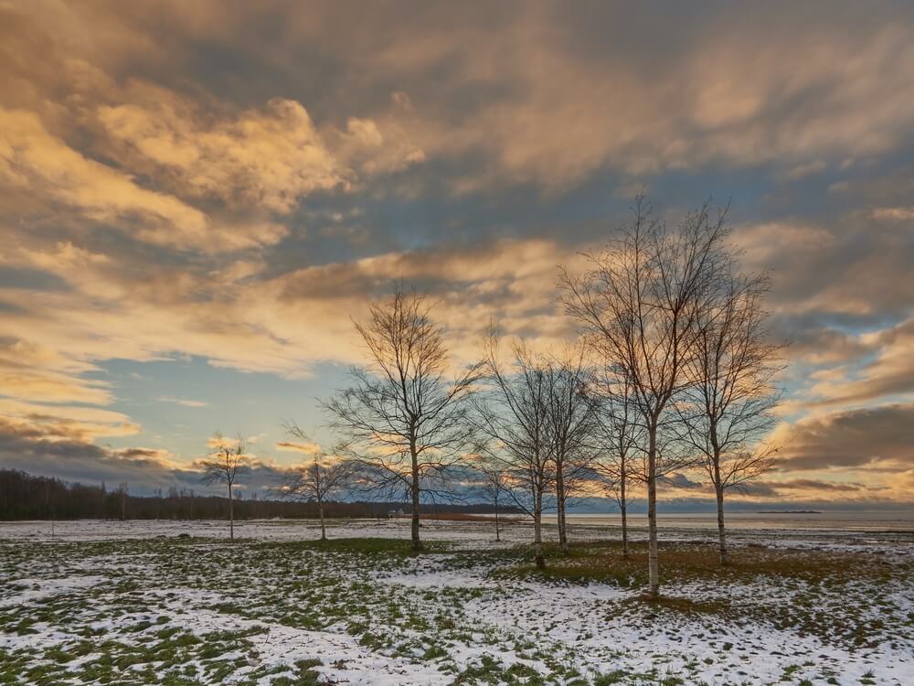 Fot. Roman Beliakov/Shutterstock