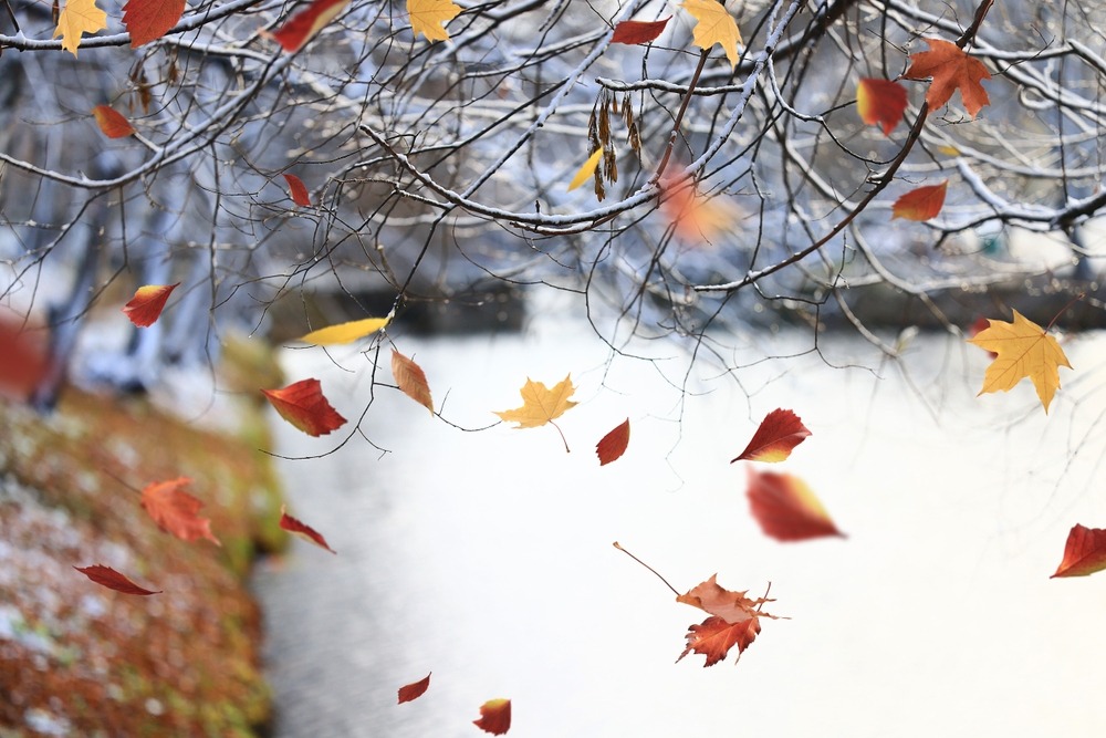 Fot. Kichigin/Shutterstock