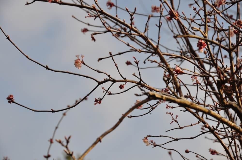 pogoda, piątek, wiadomości pogodowe