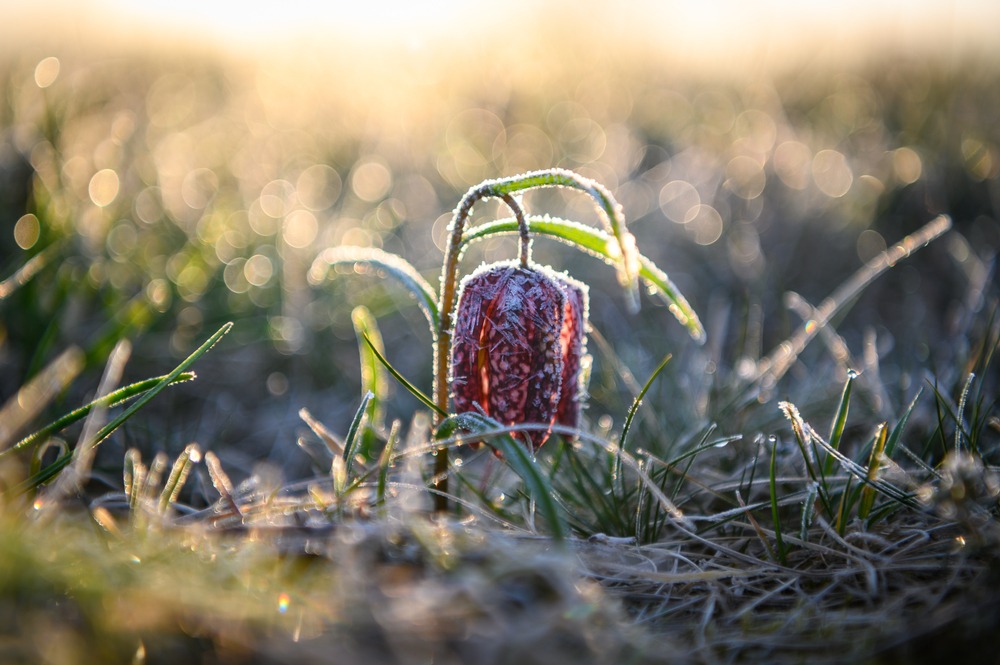 Pogoda na weekend, 20-21 kwietnia