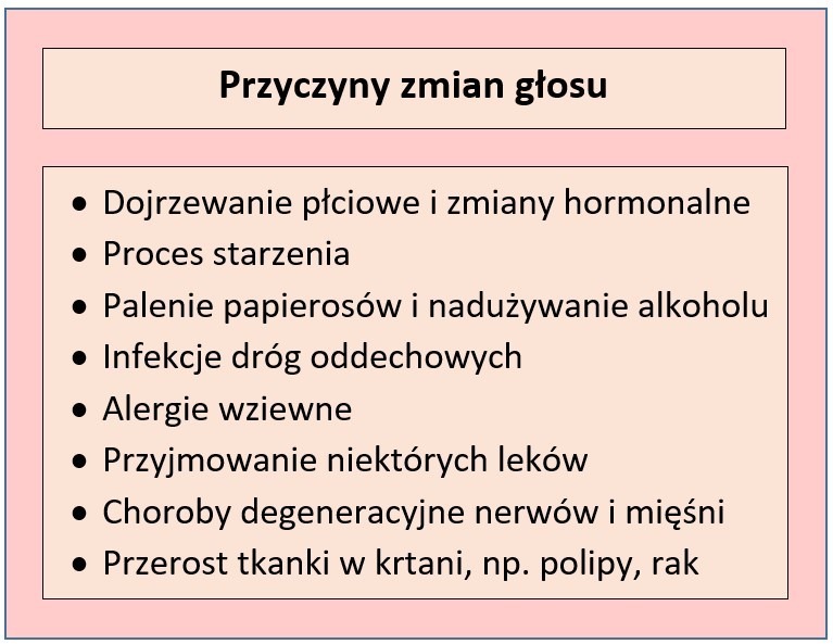 Jak powstaje ludzki głos