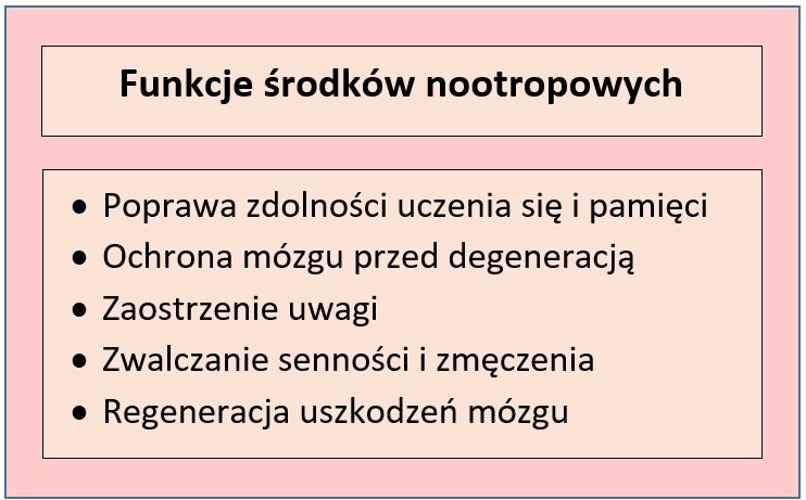 Podstawowe funkcje nootropików