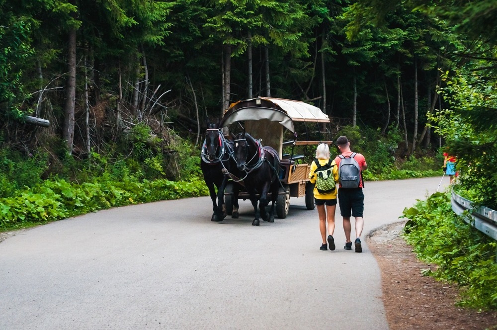 Trasa na Morskie Oko
