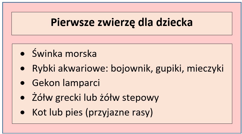 Pierwsze zwierzę dla dziecka - jakie wybrać? 