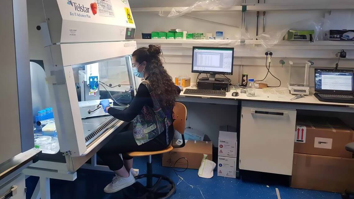 Naukowcy drukują filety z ryby