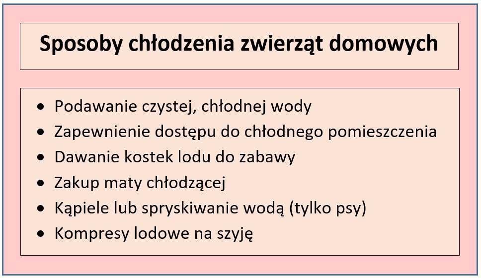 Tabela przedstawiające podstawowe metody chłodzenia zwierząt domowych; opracowanie własne