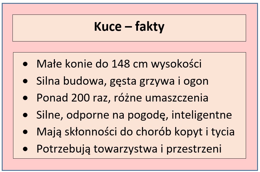 Fakt o kucach