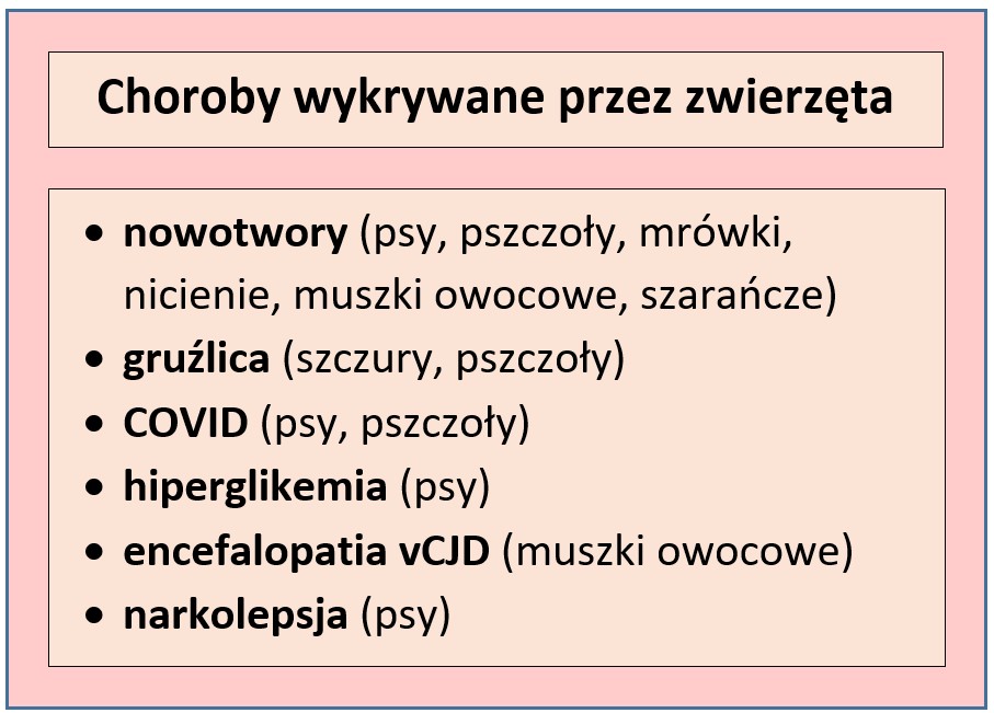 Tabela przedstawiająca choroby wykrywane przez zwierzęta