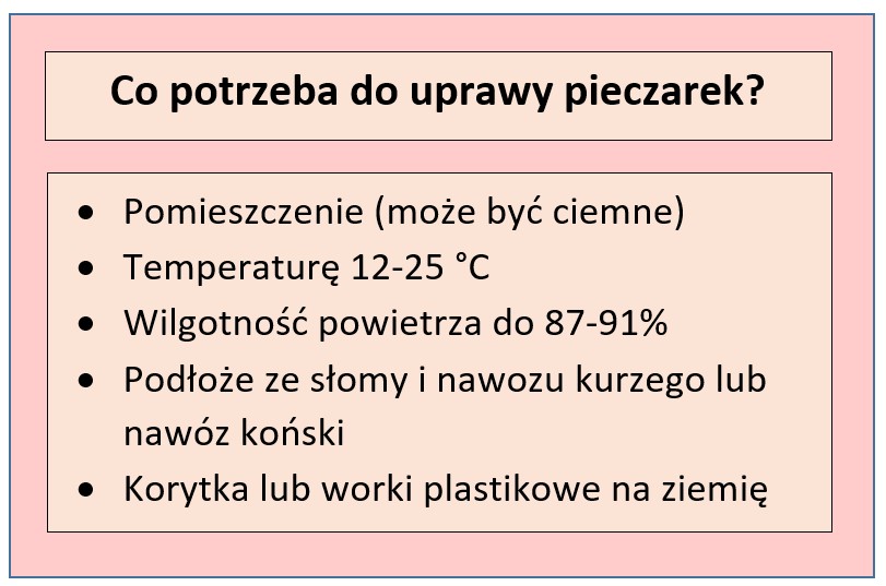 Niezbędne warunki do uprawy pieczarki