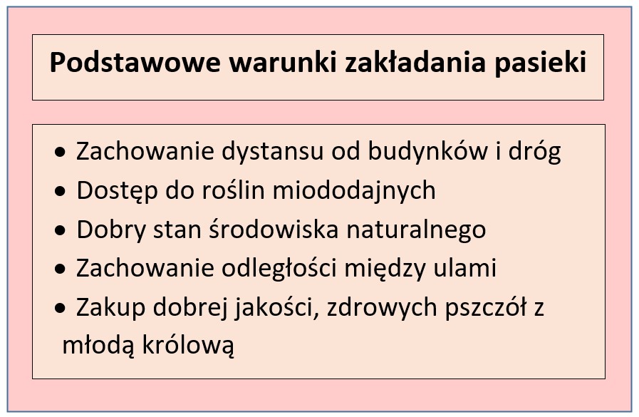 warunki związane z zakładaniem pasieki