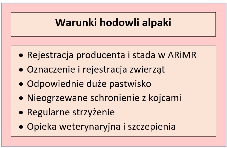 Warunki niezbędne do hodowli alpak